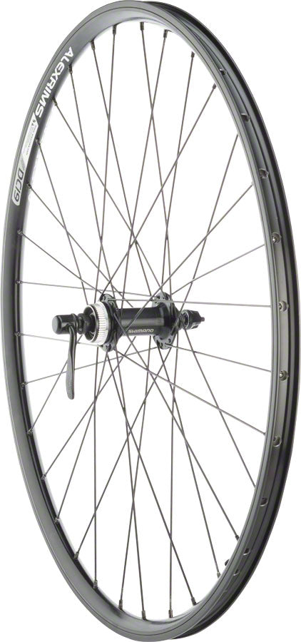 Quality Wheels Value Double Wall Series Rim+Disc Front Wheel - 26", QR x 100mm, Center-Lock /Rim Brake, Black, Clincher