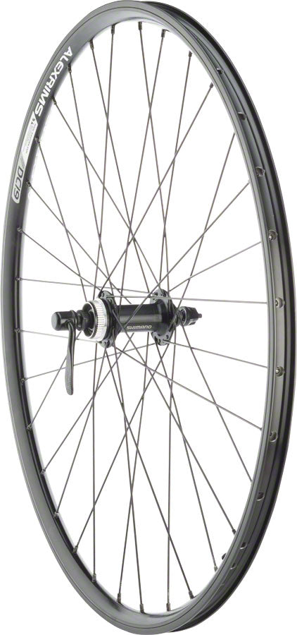 Alex DC19 Rim+Disc Front Wheel 26" QR x 100mm Center-Lock /Rim Brake Black Clincher