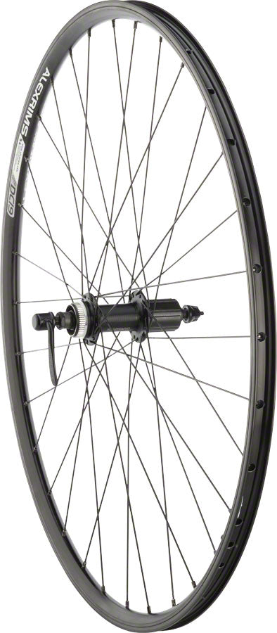 Alex DC19 Rim+Disc Rear Wheel - 700, QR x 135mm, Center-Lock, HG 10, Black, Clincher