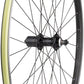 Quality Wheels WTB Dual Duty i19 TCS Rear Wheel - 700, QR x 135mm, Rim Brake, HG 10, Black, Clincher