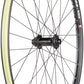 Quality Wheels WTB ST i23 TCS Disc Front Wheel - 29", 15 x 110mm Boost, Center-Lock,Black