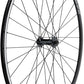 Alex DA22 Front Road Bike Wheel - 700c QR x 100mm, Rim Brake, Clincher Shimano Hub