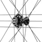 Campagnolo BORA WTO 60 Front Wheel - 700, 12 x 100mm, Centerlock, Dark
