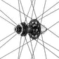 Campagnolo SHAMAL Carbon Disc Rear Wheel - 700, 12 x 100mm/12 x 142mm, Centerlock, N3W, Black